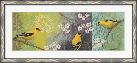 Framed Goldfinches Blooming Print