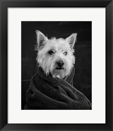 Framed Portrait of a Westy Dog Print