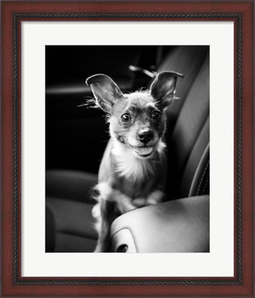 Framed We Goin&#39; for a Ride Print