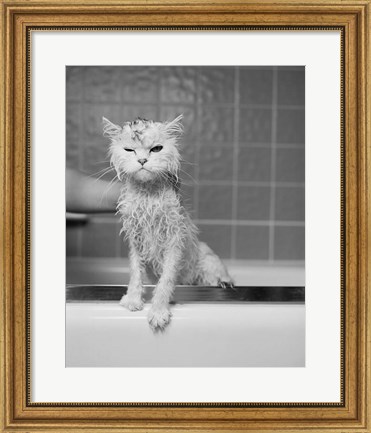 Framed Bert&#39;s Bath Print