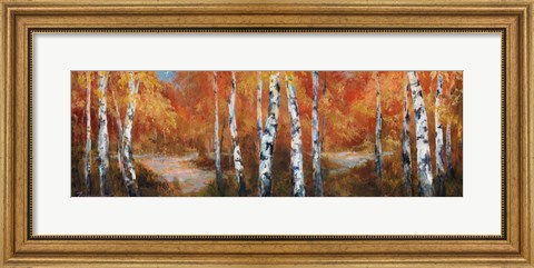 Framed Autumn Birch II Print