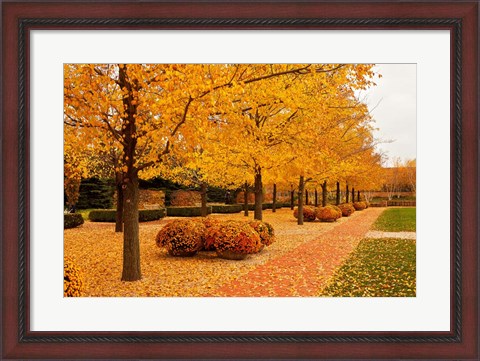 Framed Fall Walkway Print