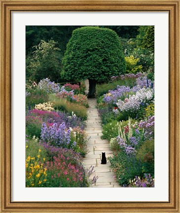 Framed Garden Cat Print