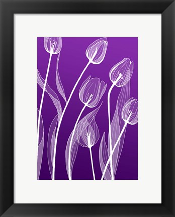 Framed X-ray Flowers Purple Print