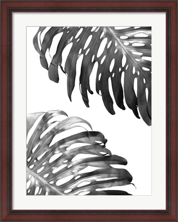 Framed Double Philodendron (BW) Print