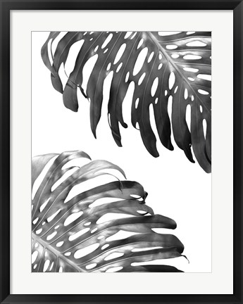 Framed Double Philodendron (BW) Print