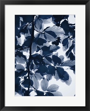Framed Indigo Leaves Print