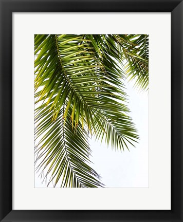 Framed Palm Leaves Print