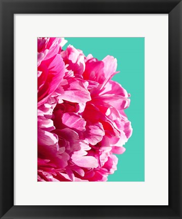 Framed Pink Peony Print