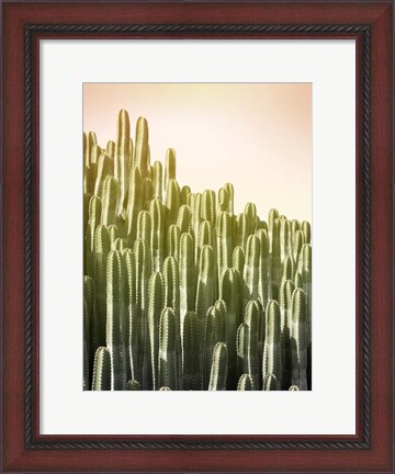 Framed Pink Sky Cactus Print