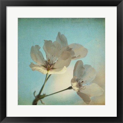 Framed Spring Sings Print