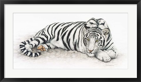Framed Siberian Tiger Print