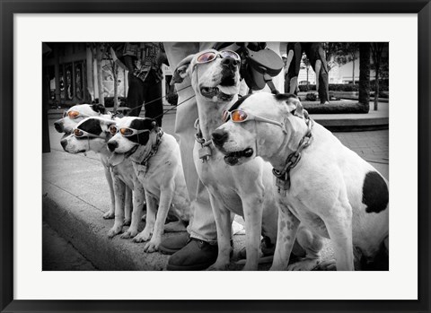 Framed Afternoon Stroll Print