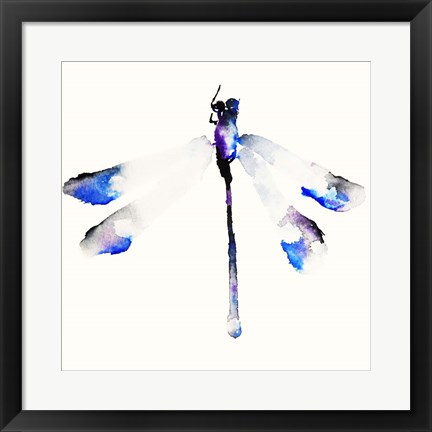 Framed Blue &amp; Violet Dragonfly Print