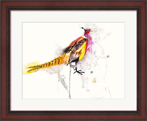 Framed Pheasant Print