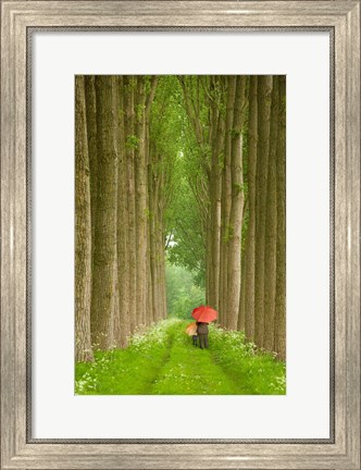 Framed Two Umbrellas, Belgium Print