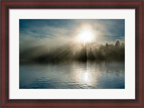 Framed Rising above the Water Print