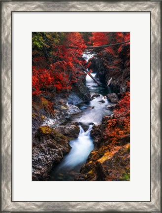 Framed Water in the Fall Print