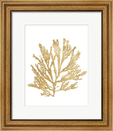 Framed Pacific Sea Mosses I Gold Print