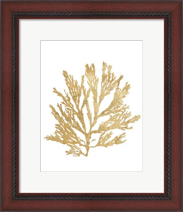 Framed Pacific Sea Mosses I Gold Print