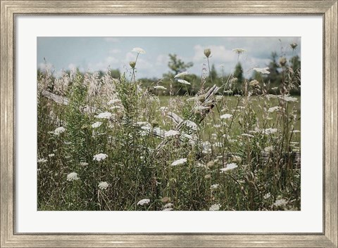 Framed Sun Drenched III Print