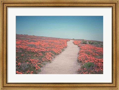 Framed California Blooms IV Print