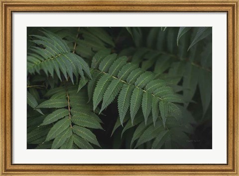 Framed Leafy V Print