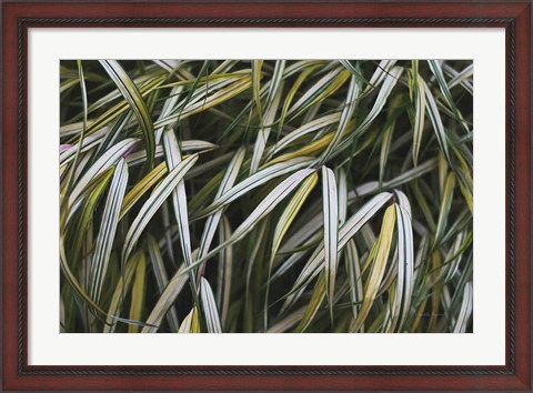 Framed Leafy IV Print