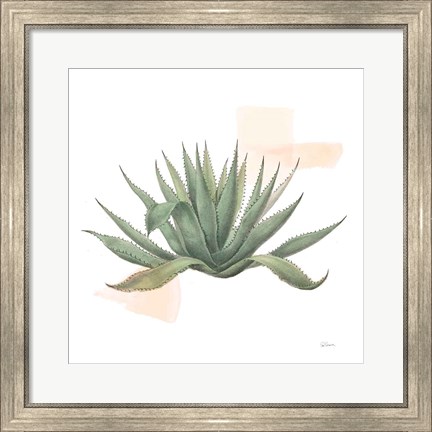 Framed Desert Color Succulent I Print