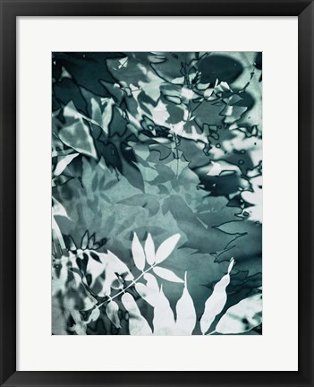 Framed Abstract Leaves Print