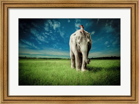 Framed Elephant Carry Me Print
