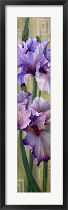 Framed Iris I Print
