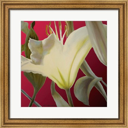 Framed Lily Red Print