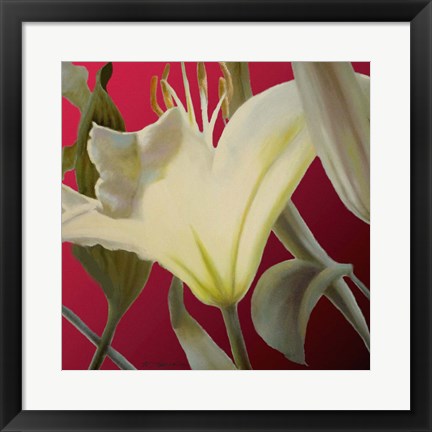 Framed Lily Red Print