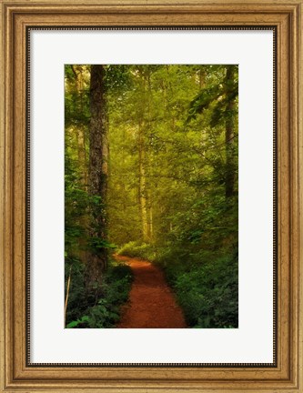 Framed Fairytale Path Print