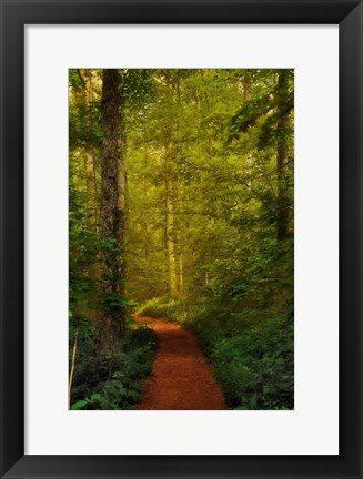 Framed Fairytale Path Print