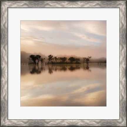 Framed Dawn Mist on the Amazon Print
