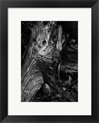 Framed Black Wood Print
