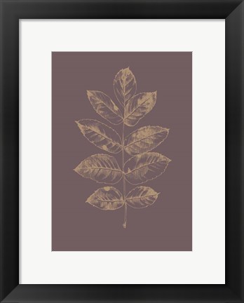 Framed Botanica 2 Print