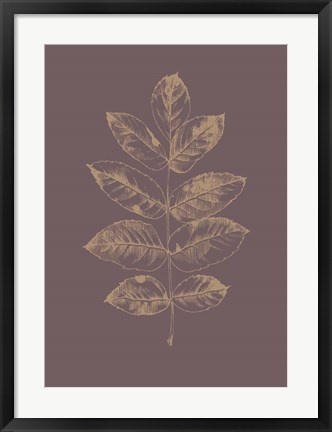 Framed Botanica 2 Print