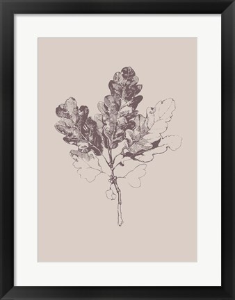 Framed Botanica 3 Print
