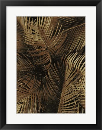 Framed Golden Palm 2 Print