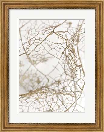 Framed Leaf Skeleton Print