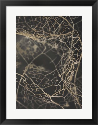 Framed Leaf Skeleton Dark Print