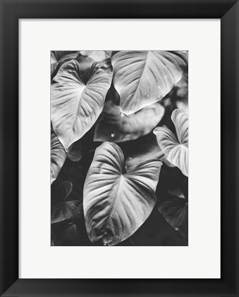 Framed Leaves of Grey Print