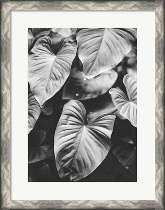 Framed Leaves of Grey Print