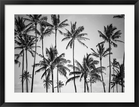 Framed Palm Heaven Print