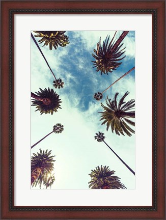 Framed Palm Sky 2 Print