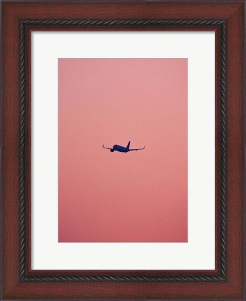 Framed Pink Flight Print