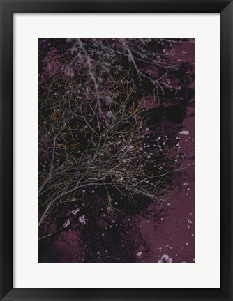 Framed River of Wine Print